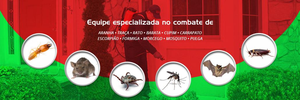 Banner-dedetizadoranodf.jpg